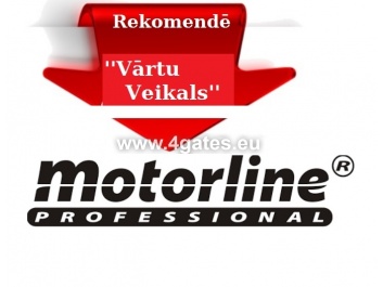 MOTORLINE PROFESIONAL