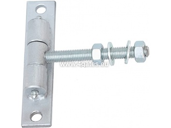 Gate hinges 14 mm