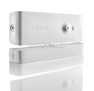 Opening sensor for intrusion detection RTD SOMFY.