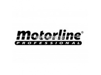 MOTORLINE PROFESSIONAL